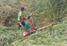 Equipes de capinadores fazem mutirão de limpeza em Varginha Equipe de Capinadores