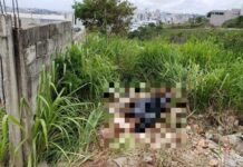 Corpo de idosa é encontrado em terreno baldio em Elói Mendes idosa em eloi mendes