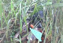 Homem é preso logo após futrar motocicleta em Varginha motocilceta furtada varginha