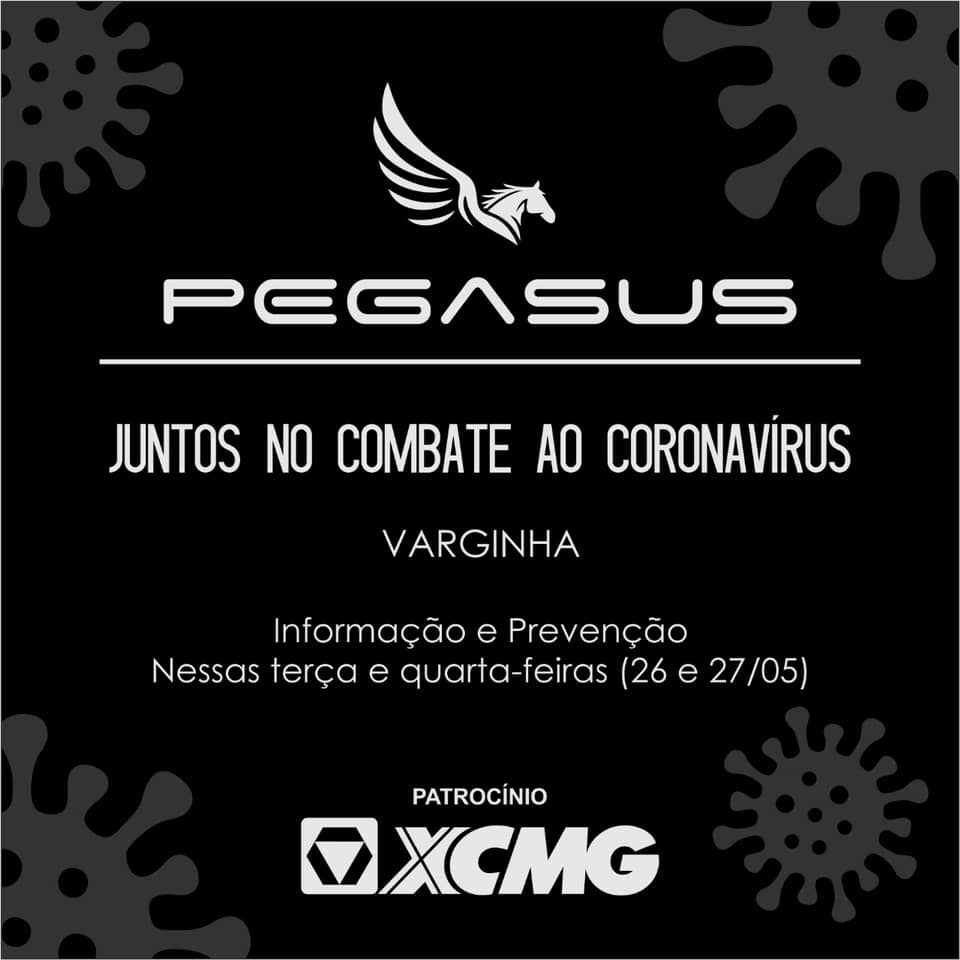 Projeto Pegasus