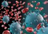 Coronavírus: 195 casos novos em Varginha no boletim deste sábado coronavirus moleculas unifal covid-19