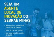 Inscrições para processo seletivo do SEBRAE terminam no próximo domingo (12) Agentes Locais de Inovação ALI Sebrae MG
