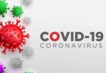 Prefeitura quer criar a Superintendência Especial de Enfrentamento à Covid-19 Gráfico do coronavírus