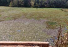 Ambientalistas denunciam despejo de esgoto no Rio Verde. Copasa divulga nota de esclarecimento Rio Verde