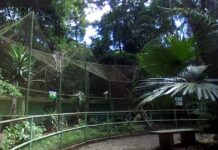 Zoológico de Varginha está aberto todos os dias para visitação Zoológico de Varginha
