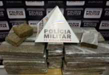 Polícia Militar faz grande apreensão de drogas em Varginha Polícia Militar faz apreensão de drogas em Varginha