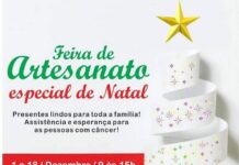 Feira de Artesanato Especial de Natal do Vida Viva vai até 18 de dezembro Feira de Artesanato Especial de Natal