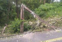 Moradores do bairro Santana ficam sem energia após queda de árvore Árvore cai sobre a rede elétrica