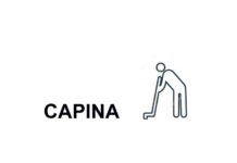 Capina e manutenção asfáltica em Varginha: Veja onde a equipe da Prefeitura está trabalhando capina varginha
