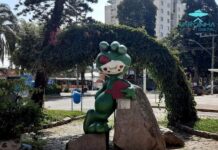 ET de Varginha completa 26 anos, confira 2 vídeos sobre o caso ET de Varginha