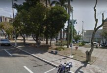Árvores da Praça Governador Benedito Valadares que ameaçam cair serão cortadas Praça