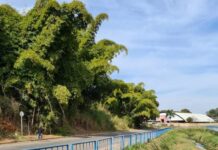 Avenida próxima à nova rotatória do Santa Maria receberá iluminação iluminação