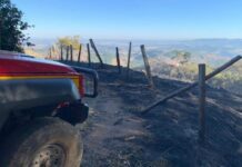 Bombeiros combatem dois incêndios em Varginha neste domingo Fogo