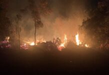 Bombeiros trabalham até 2 da manhã para combater incêndio em Varginha Incêndio