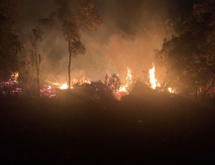 Incêndio_Figueira (4) Incêndio