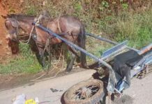Acidente entre moto e charrete deixa uma criança morta em Piranguinho Acidente