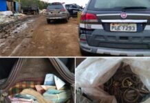 Operação apreende 50 mil em cooperativa de reciclagem de Varginha Polícia Civil