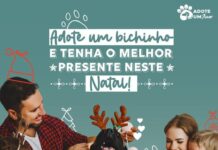 Adote um Animalzinho: Canil Municipal de Varginha tem vários pets para adoção Campanha Adote um Animalzinho Canil Municipal de Varginha