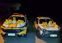 Trinca-ferros são resgatados em situação de maus-tratos no Sul de Minas Trinca-ferros