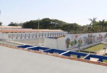 Alfenas terá “Sus Animal” e Hospital de cães e gatos Sus animal hospital cães e gatos Alfenas