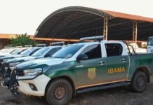 Último da para inscrição no concurso do IBAMA. Há vagas para Minas Gerais Concurso Ibama