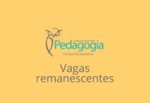 Inscrições para Curso gratuito de Licenciatura em Pedagogia EAD (vagas remanescentes) vão até sábado licenciatura em pedagogia ead ifsuldeminas