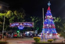 Varginha ganha decoração de Natal no centro da cidade Decoração de Natal Varginha 2021 Árvore