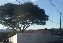 Oficina do Ser abre inscrições para oficina gratuita de artes e libras Ofina do Ser