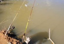 Copasa se pronuncia sobre denúncia do Coletivo Rio Verde VIVO Pesca ilegal no Rio Verde