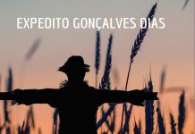 Escritor Expedito Gonçalves Dias lança livro “Delírios de Um Espantalho” no Museu de Varginha Capa do livro Delírios de um Espantalho