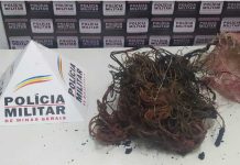 Homem é preso em flagrante por furto de fios de cobre Fio de Cobre