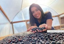 Sebrae Minas promove Rodada de Negócios de Cafés Vulcânicos Cafés Vulcânicos