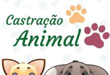 Atualização: Inscrição para mutirão de castração gratuita para cães e gatos termina sexta-feira castração gratuita varginha