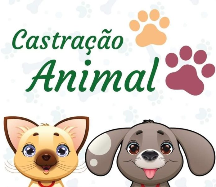 castracao-gratuita-varginha castração gratuita varginha