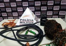 Homem é preso por furtar fios de cobre em Varginha Fios de cobre