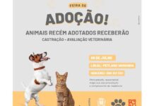 Feira de Adoção de cães e gatos acontece neste sábado em Varginha Feira de Adoção
