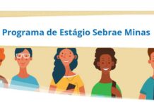 Sebrae abre inscrições para o seu programa de estágio Sebrae