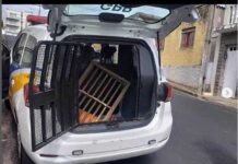 GCMV encontra tampa de bueiro furtada na avenida Plínio Salgado Tampa de bueiro