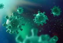 Herpes Zóster: entenda o que é, como prevenir e como tratar herpes zóster
