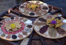 XI Festa das Sementes Orgânicas e Biodinâmicas do Sul de Minas acontece em Carmo da Cachoeira XI Festa das Sementes Orgânicas e Biodinâmicas do Sul de Minas