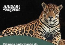 Zoológico de Varginha terá programação especial neste fim de semana Zoo de Varginha