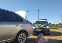 Drogas avaliadas em R$ 5,5 milhões são aprendidas na Fernão Dias Drogas apreendidas