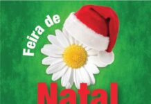 Sábado acontece a 2ª Feira de Natal das ONGs de Três Corações Feira de Natal Três Corações