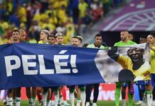 A famosa zebra apenas bailou com a seleção brasileira Seleção Brasileira