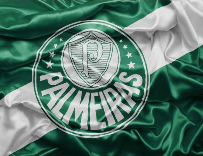 palmeiras-varginhadigital Palmeiras