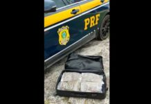 PRF apreende super maconha em ônibus na rodovia Fernão Dias Super maconha