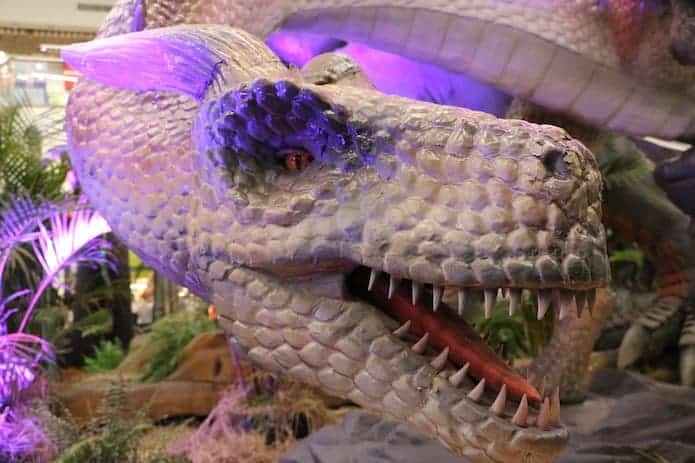 exposição de dragões