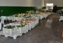 Banco de Alimentos da Prefeitura de Varginha retoma atividades de compra e doação de alimentos Banco de Alimentos Prefeitura de Varginha