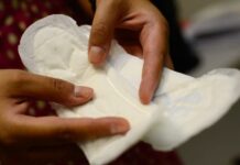 Governo lança programa de distribuição gratuita de absorvente pelo SUS distribuição gratuita de absorventes