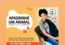 Abril Laranja reforça importância da prevenção contra maus tratos a animais Prevenção crueldade contra animais